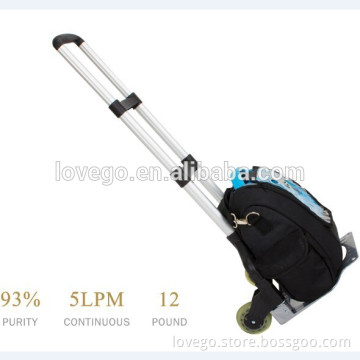 Lovego portable oxygen concentrator work in car 12V and by battery